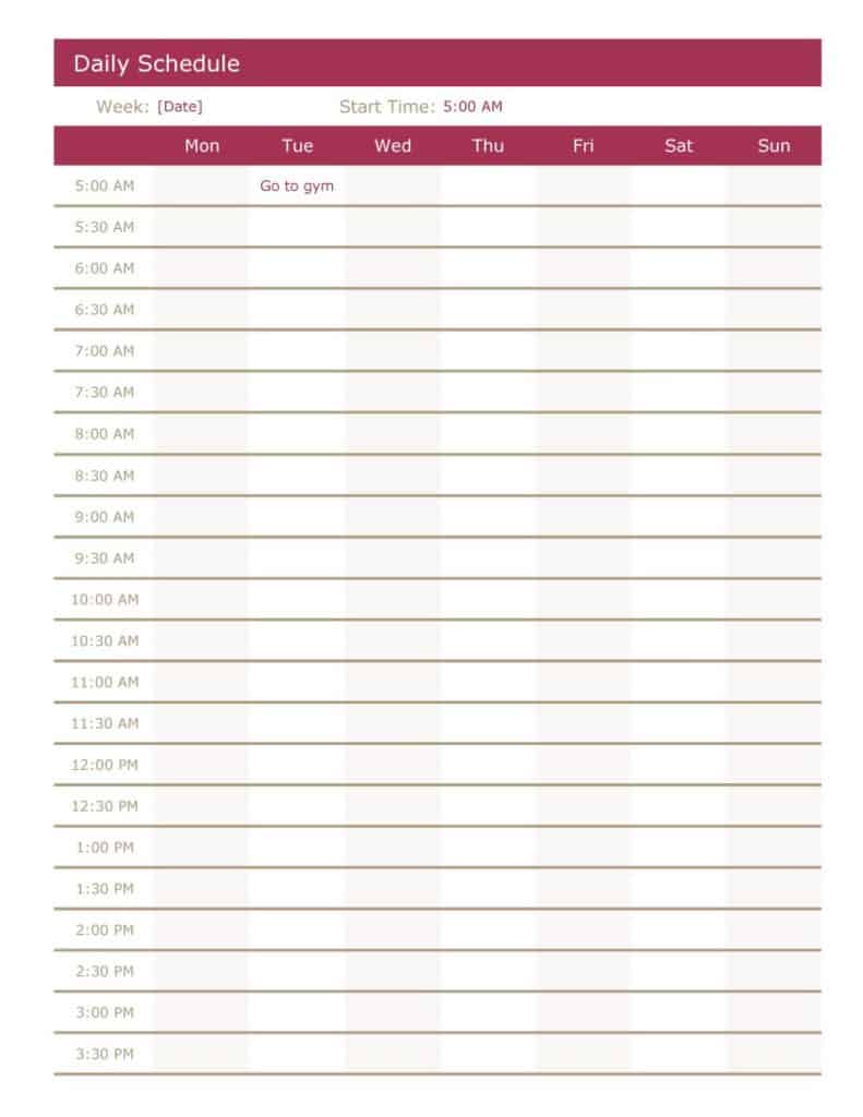 24+ Free Daily Schedule Templates & Daily Planners Word Excel PDF
