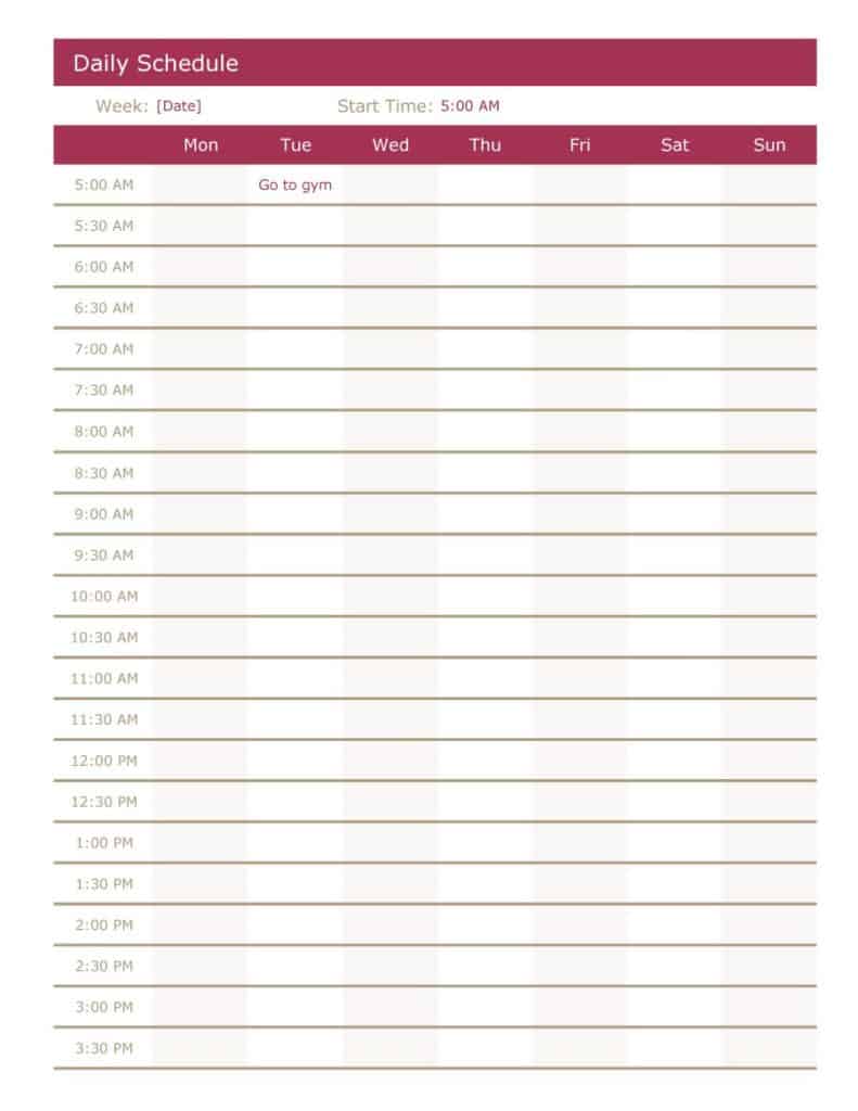 Free Daily Schedule Template Word